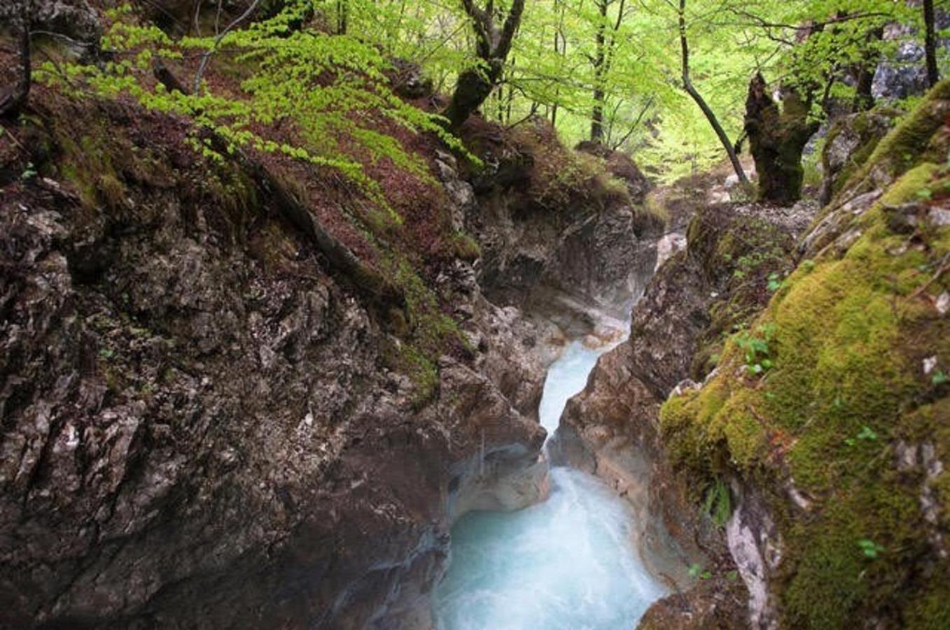 Juliana Villa Kobarid Exteriör bild